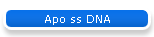 Apo ss DNA