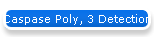 Caspase Poly, 3 Detection