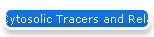 Cytosolic Tracers and Related Products