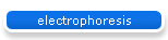 electrophoresis
