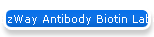 EzWay Antibody Biotin Labeling Kit