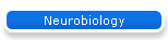 Neurobiology
