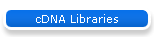 cDNA Libraries