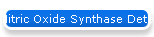 Nitric Oxide Synthase Detection Kit