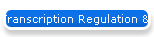 Transcription Regulation & Nuclear Proteins(Rodent)